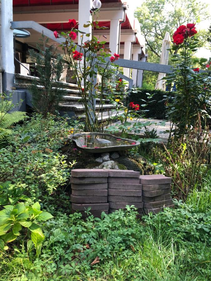 Reichels Parkhotel Бад Виндсхайм Екстериор снимка